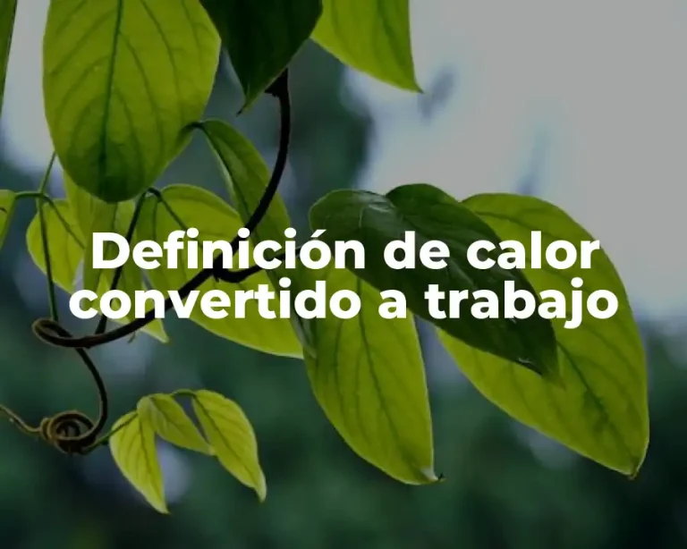Definición de calor convertido a trabajo