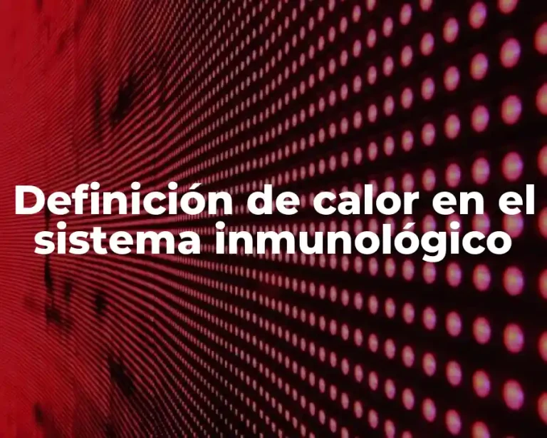 Definición de calor en el sistema inmunológico