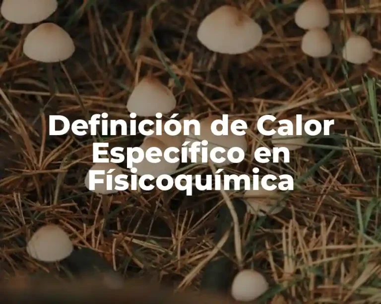 Definición de Calor Específico en Físicoquímica