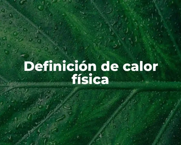 Definición de calor física