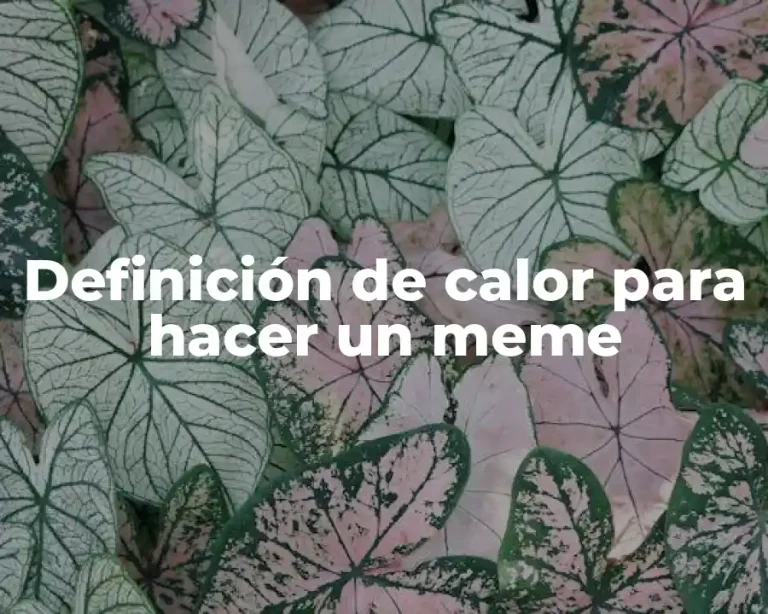 Definición de calor para hacer un meme