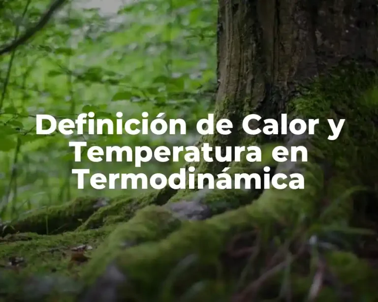 Definición de Calor y Temperatura en Termodinámica