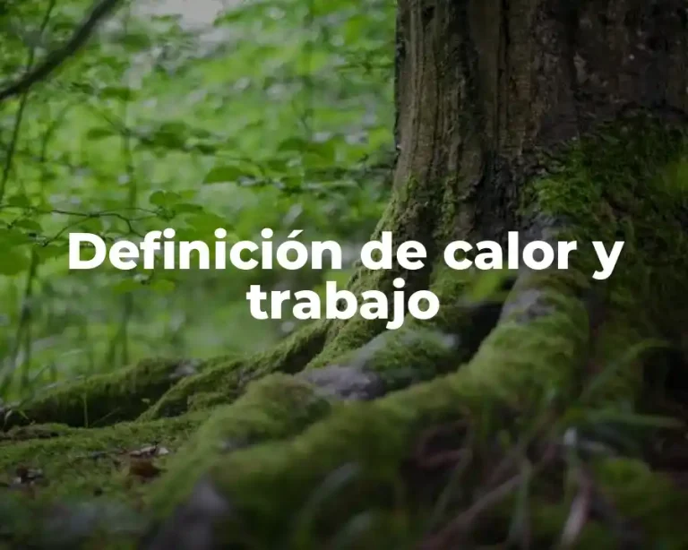 Definición de calor y trabajo