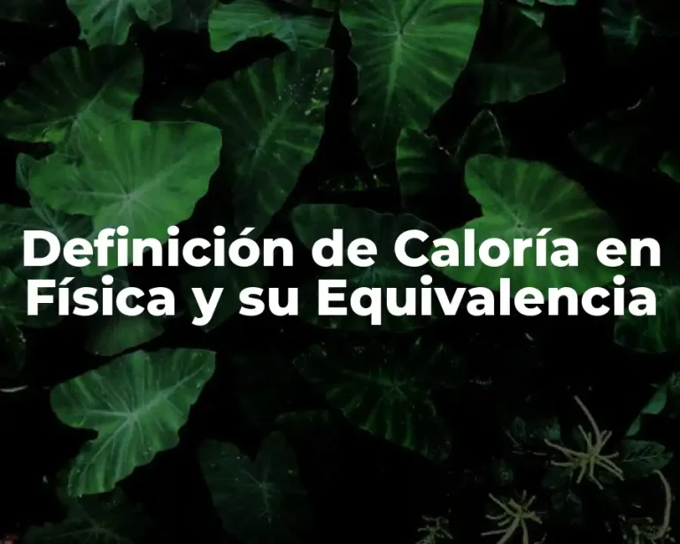 Definición de Caloría en Física y su Equivalencia