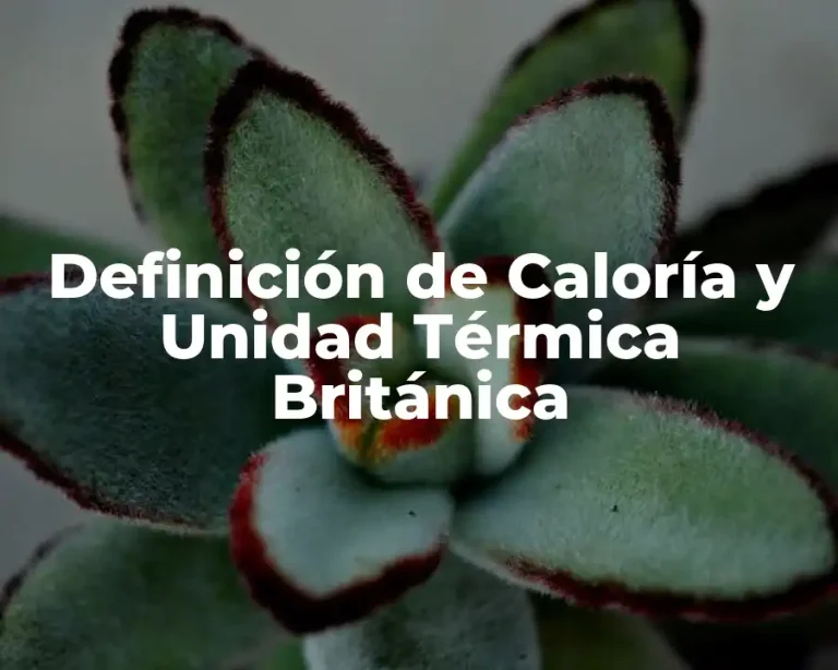 Definición de Caloría y Unidad Térmica Británica