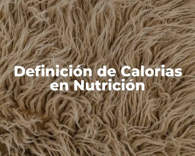 Definición de Calorias en Nutrición