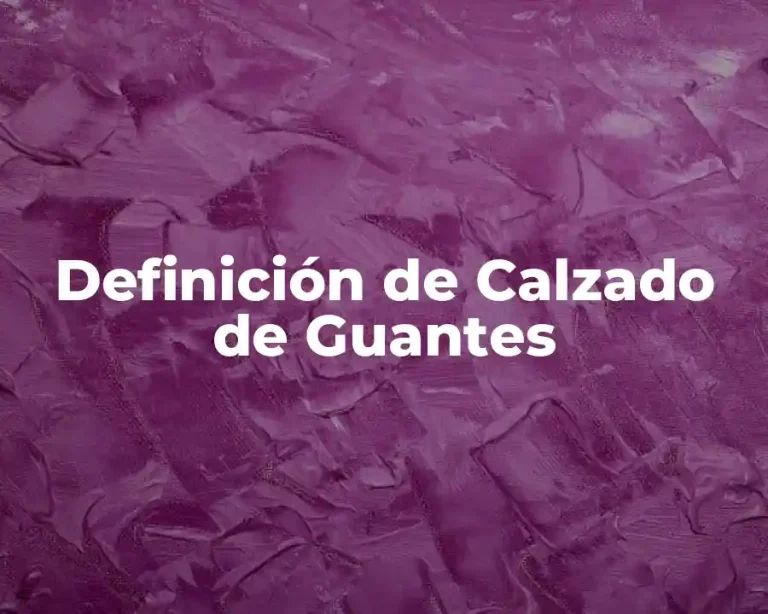 Definición de Calzado de Guantes
