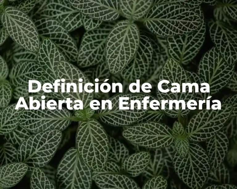 Definición de Cama Abierta en Enfermería