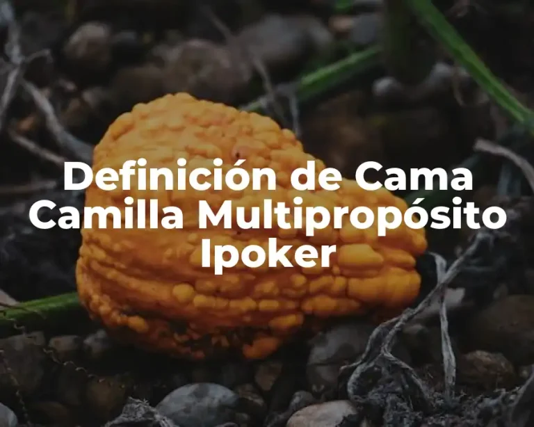 Definición de Cama Camilla Multipropósito Ipoker