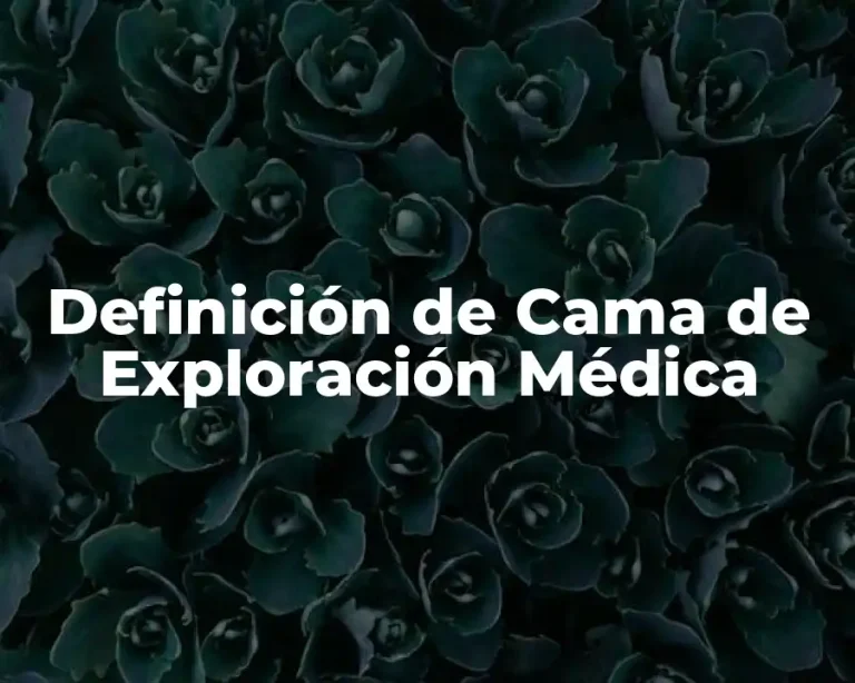 Definición de Cama de Exploración Médica
