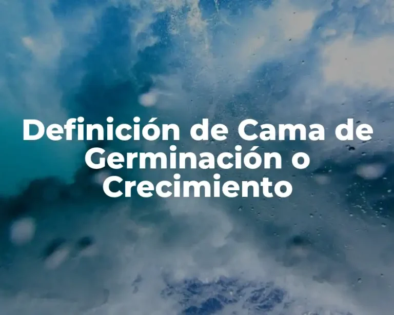 Definición de Cama de Germinación o Crecimiento