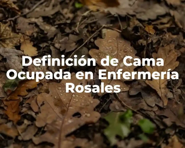 Definición de Cama Ocupada en Enfermería Rosales