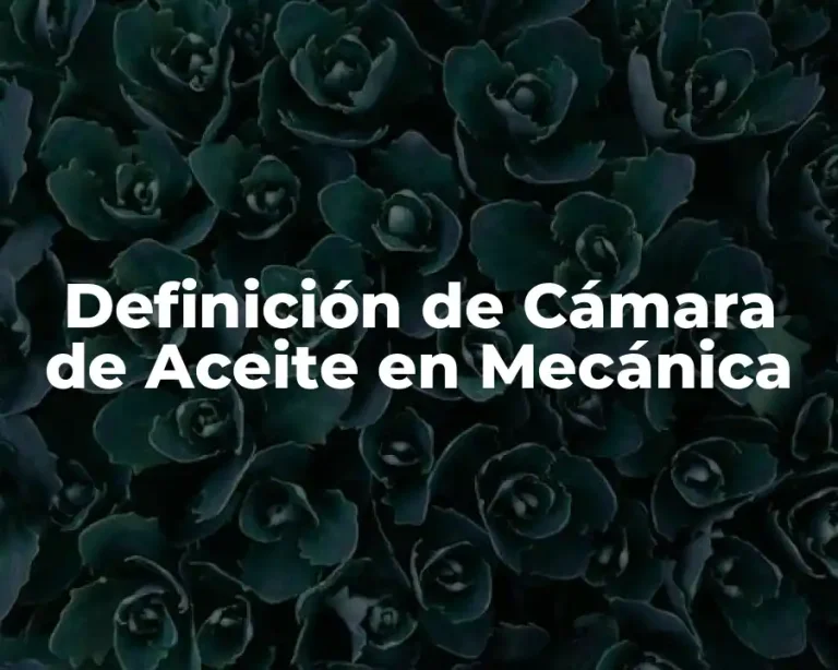 Definición de Cámara de Aceite en Mecánica