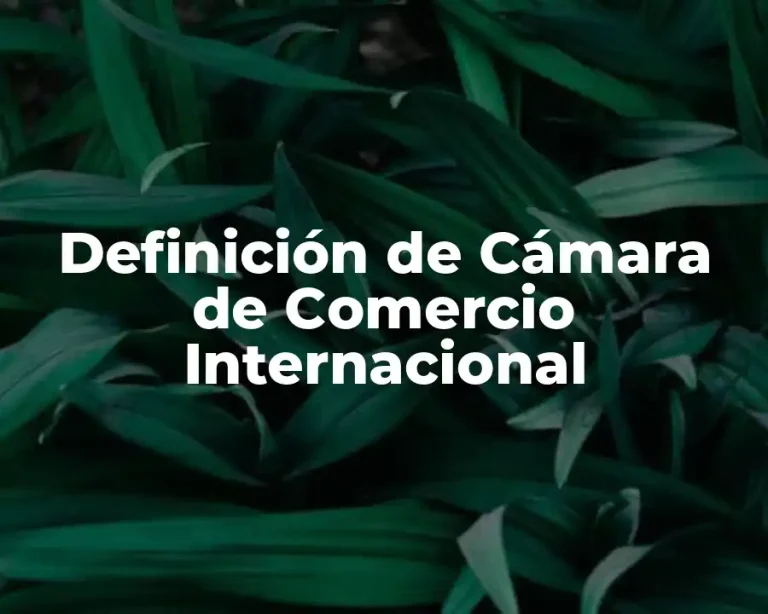 Definición de Cámara de Comercio Internacional