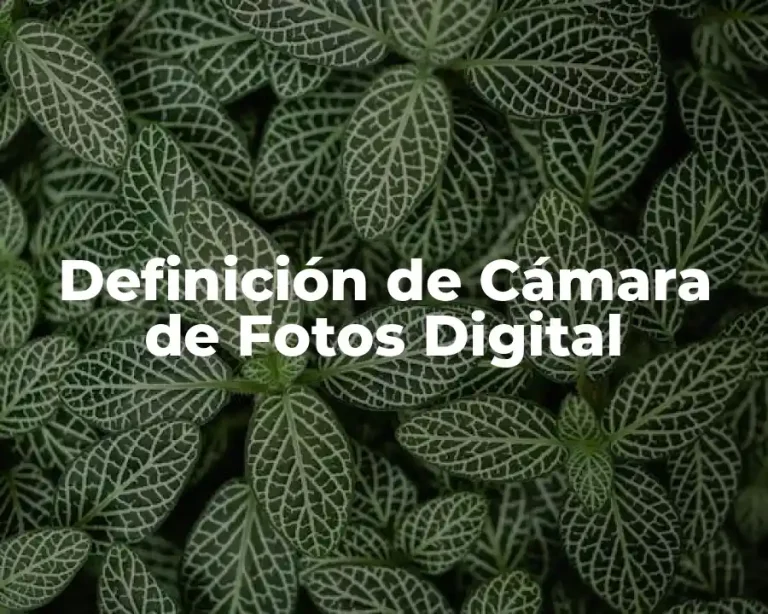 Definición de Cámara de Fotos Digital