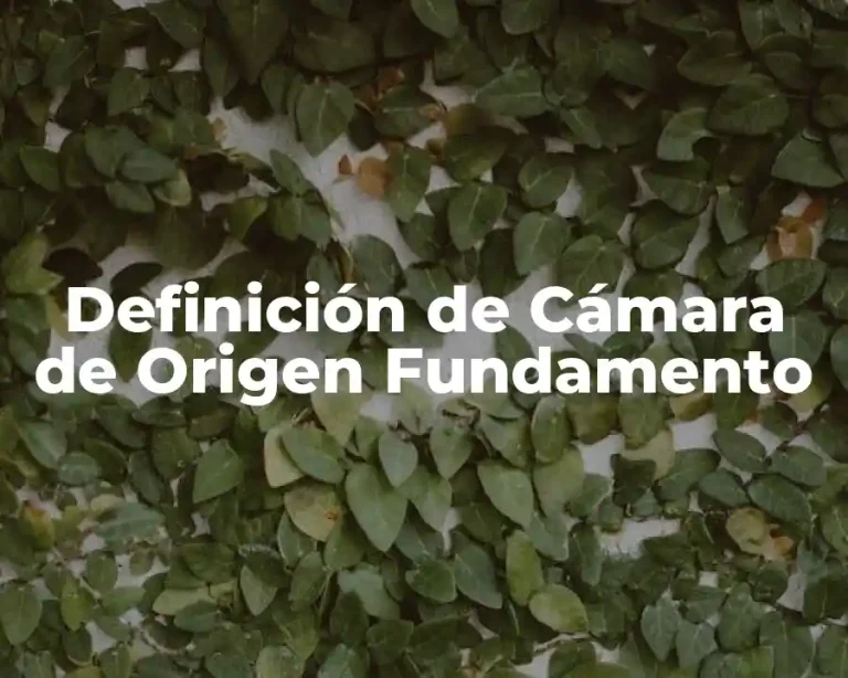 Definición de Cámara de Origen Fundamento