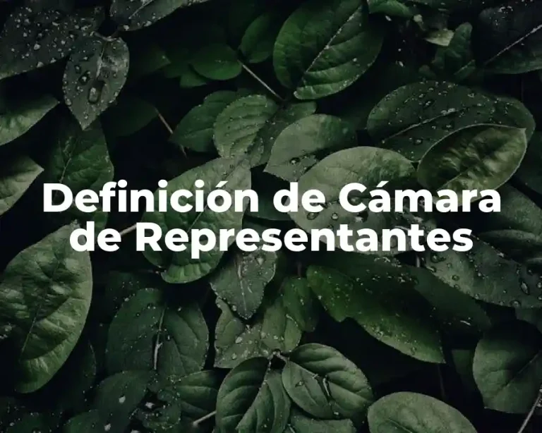 Definición de Cámara de Representantes