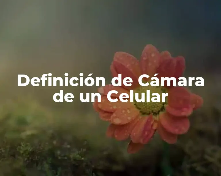 Definición de Cámara de un Celular