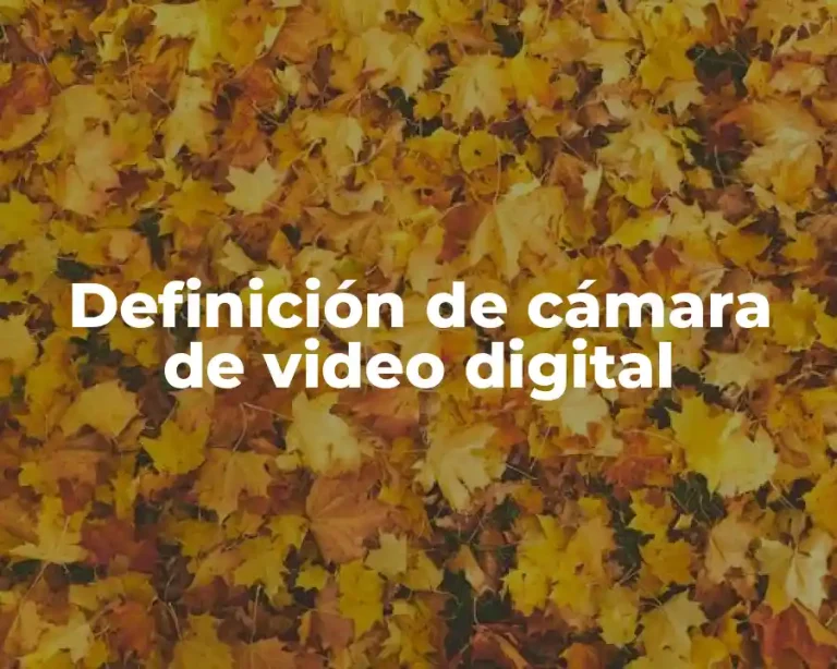 Definición de cámara de video digital