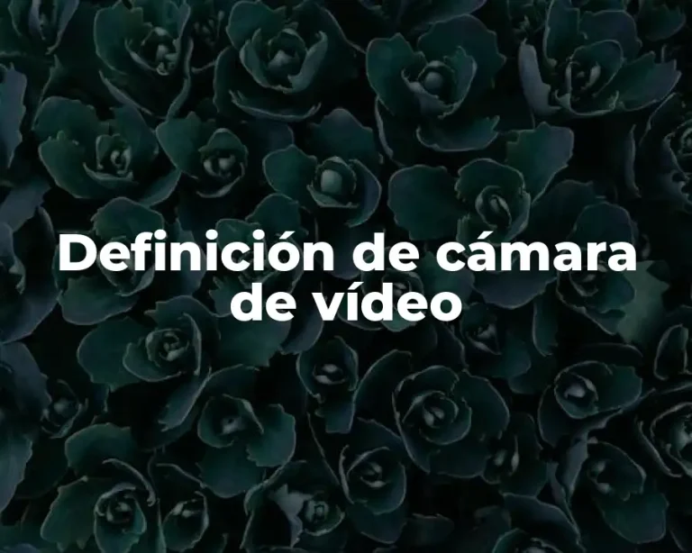 Definición de cámara de vídeo