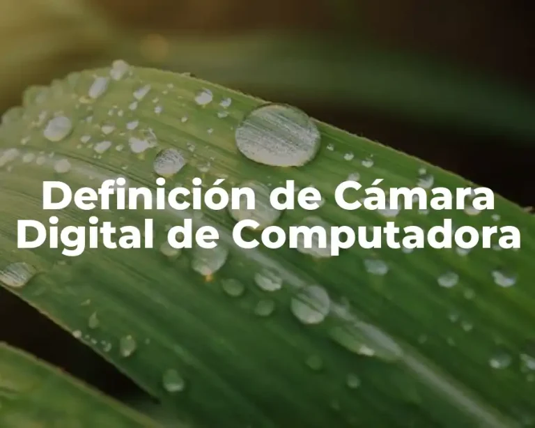 Definición de Cámara Digital de Computadora