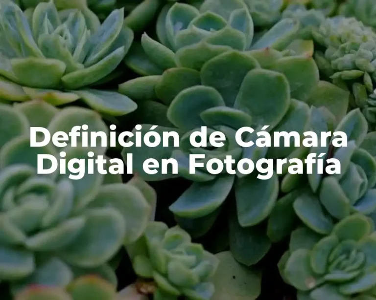 Definición de Cámara Digital en Fotografía