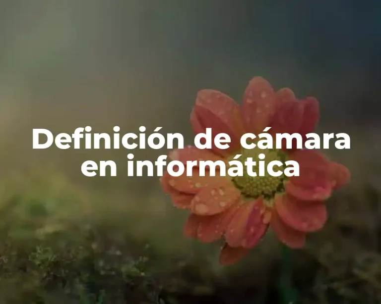 Definición de cámara en informática