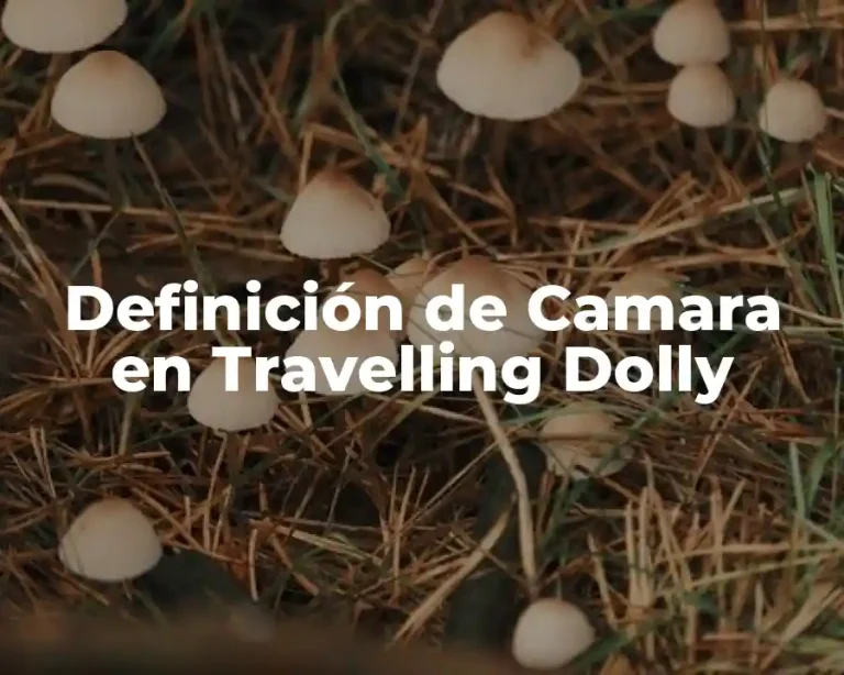 Definición de Camara en Travelling Dolly