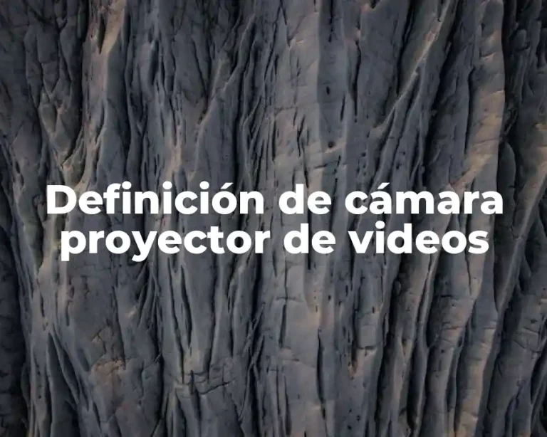 Definición de cámara proyector de videos