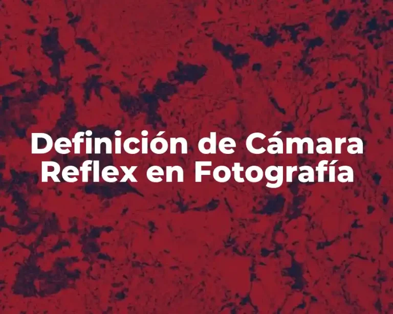 Definición de Cámara Reflex en Fotografía
