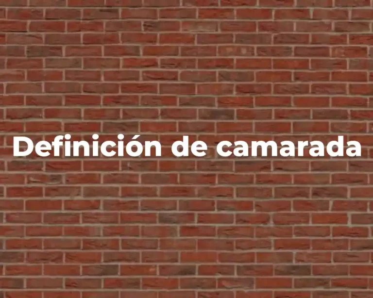 Definición de camarada