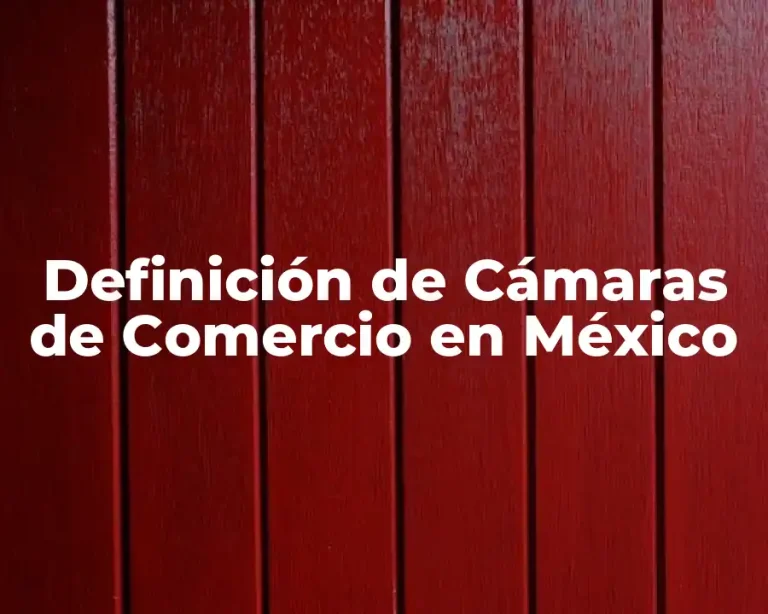Definición de Cámaras de Comercio en México