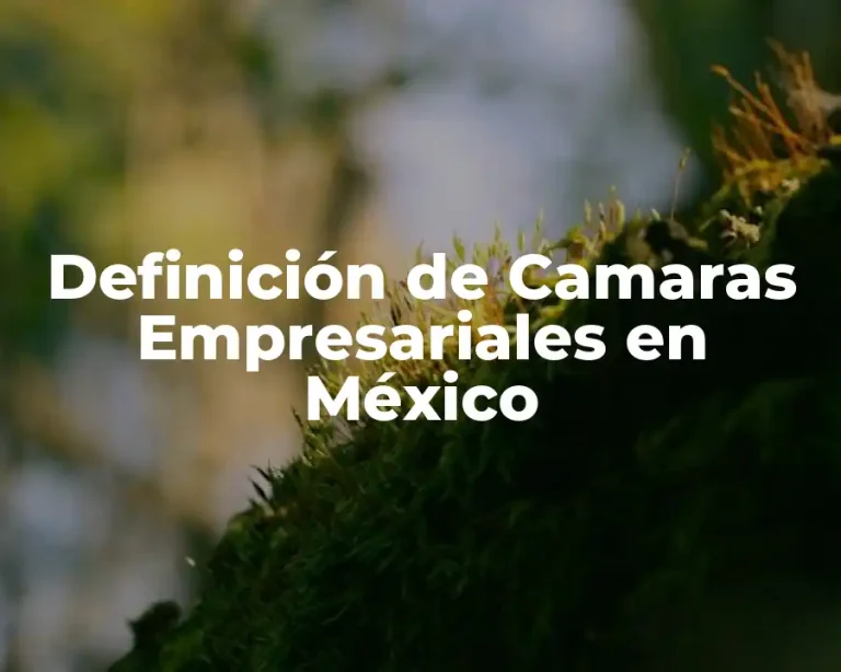 Definición de Camaras Empresariales en México