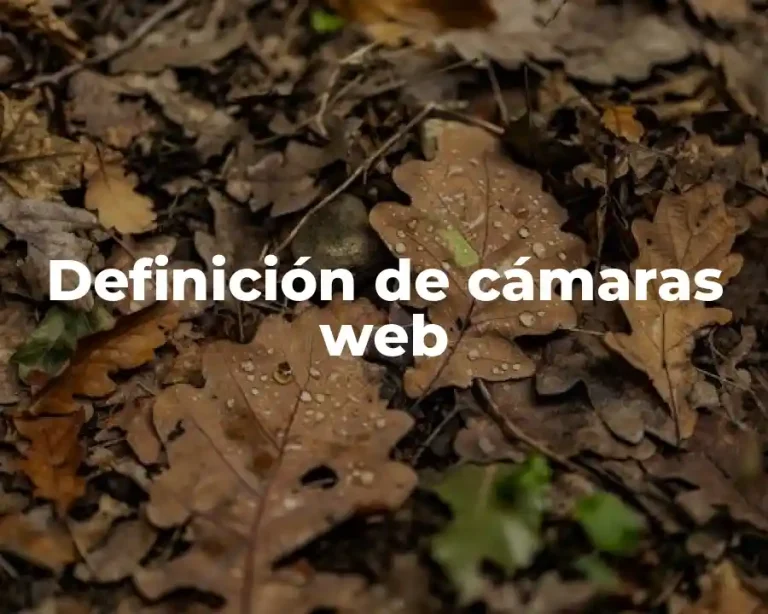 Definición de cámaras web