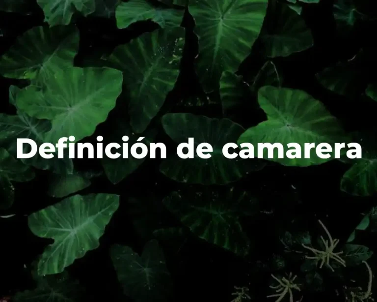 Definición de camarera