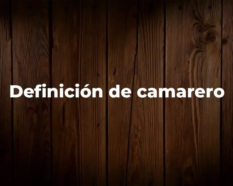 Definición de camarero