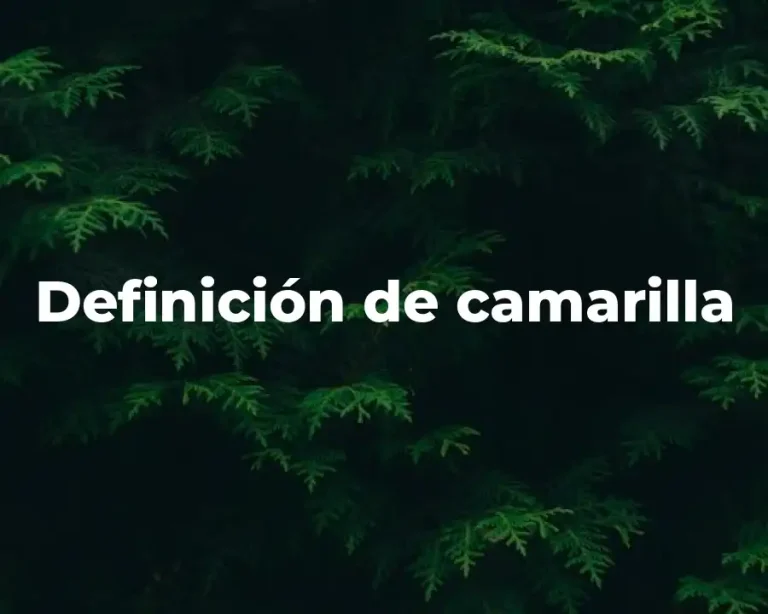 Definición de camarilla