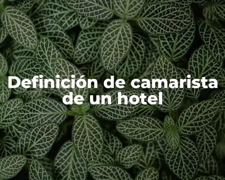 Definición de camarista de un hotel