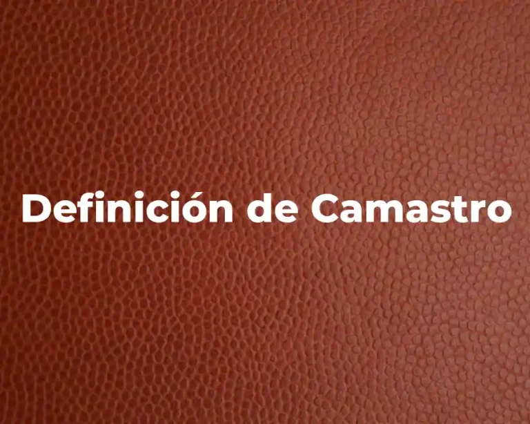 Definición de Camastro