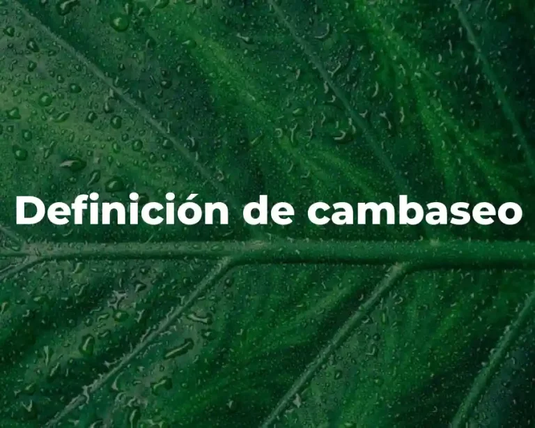 Definición de cambaseo