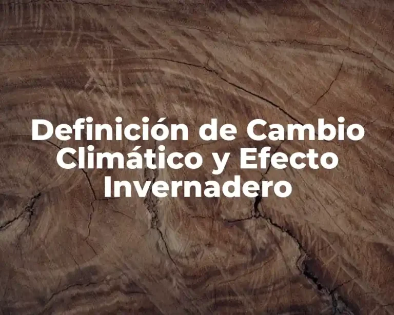 Definición de Cambio Climático y Efecto Invernadero