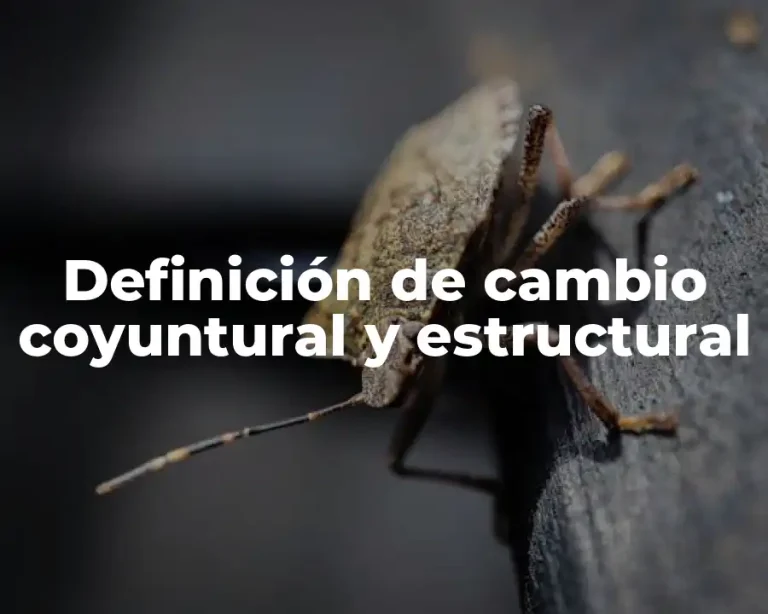 Definición de cambio coyuntural y estructural