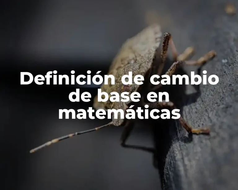 Definición de cambio de base en matemáticas