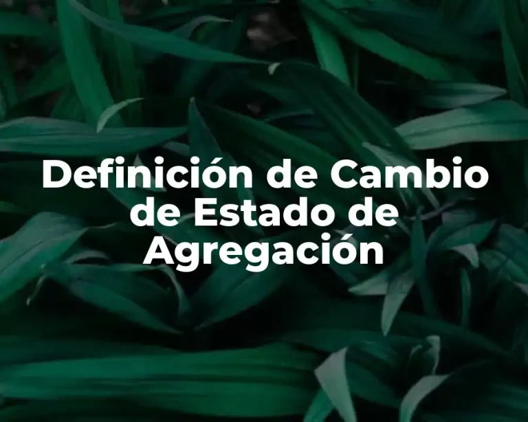 Definición de Cambio de Estado de Agregación