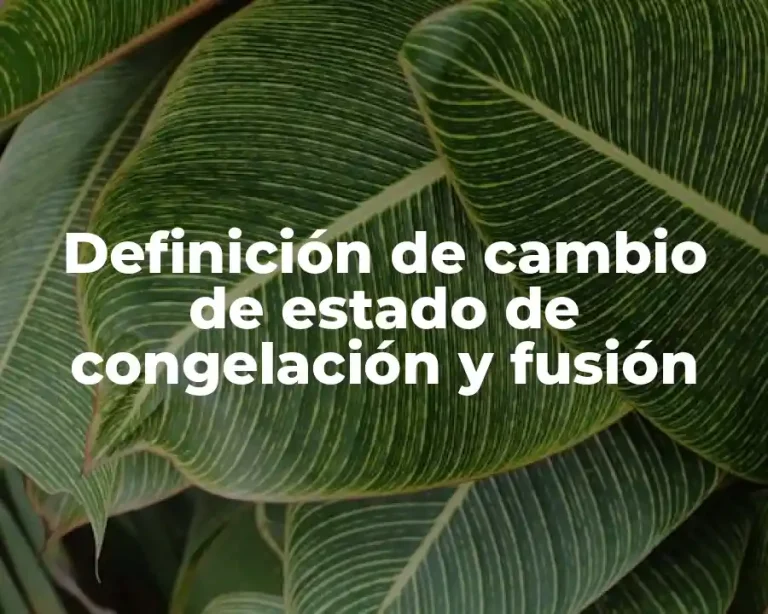 Definición de cambio de estado de congelación y fusión