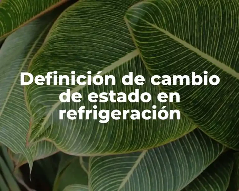 Definición de cambio de estado en refrigeración