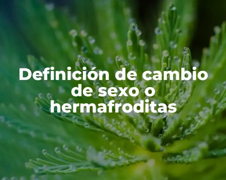 Definición de cambio de sexo o hermafroditas