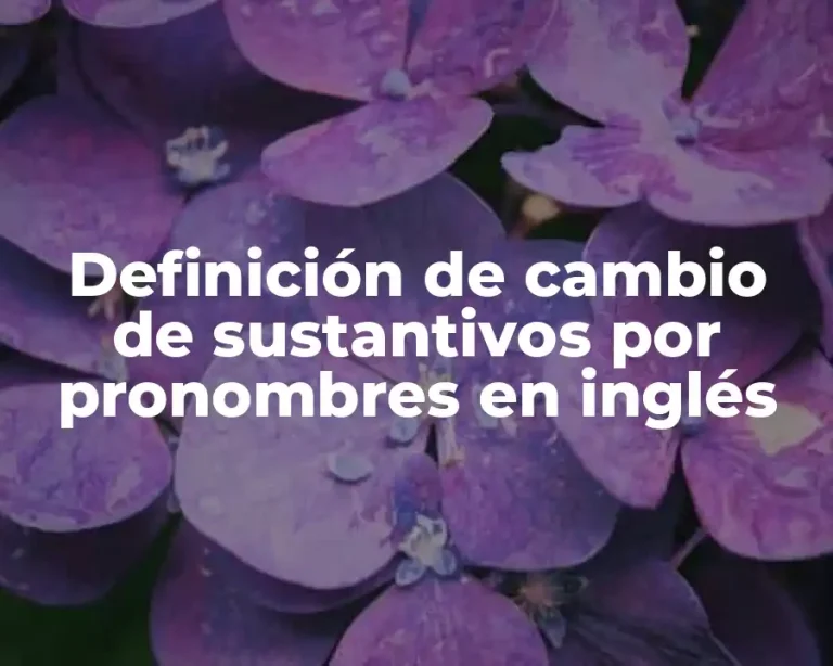 Definición de cambio de sustantivos por pronombres en inglés