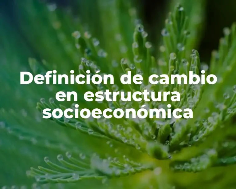 Definición de cambio en estructura socioeconómica