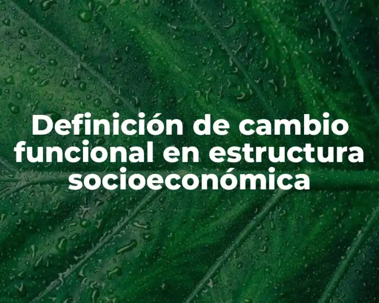 Definición de cambio funcional en estructura socioeconómica